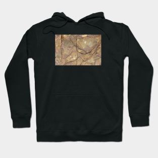 Beach side intimate rock texture Hoodie